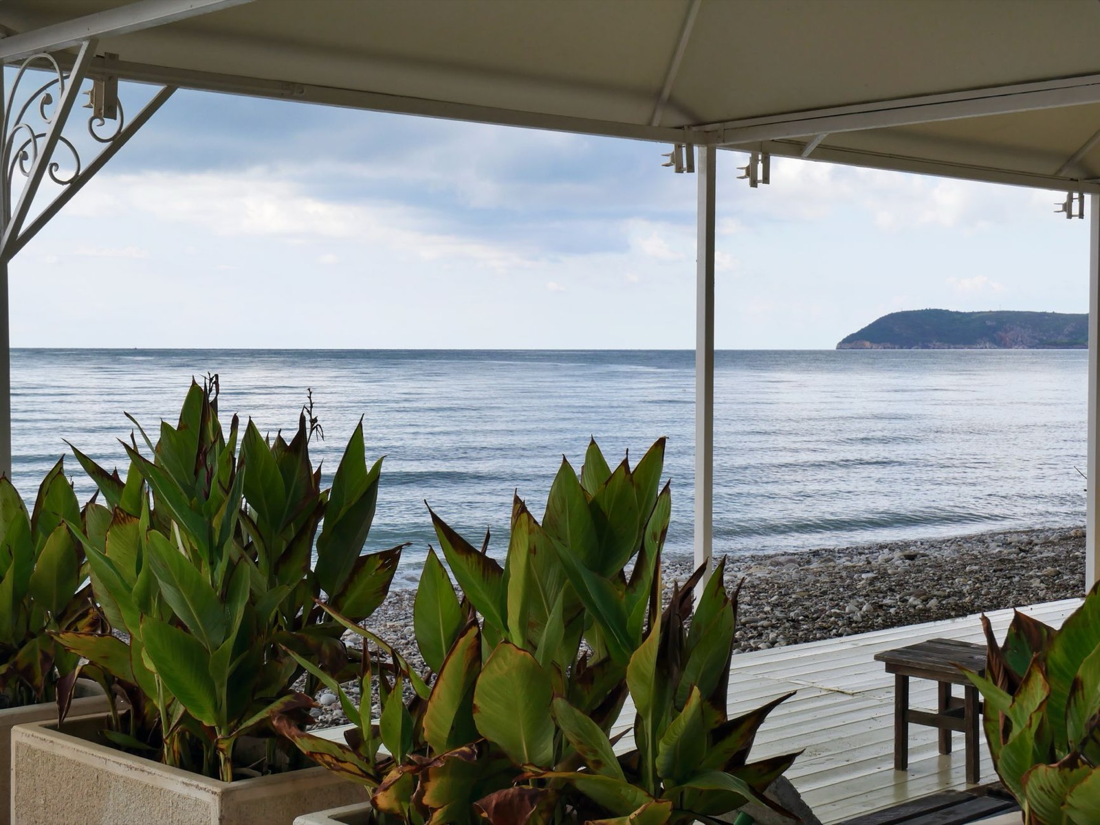 Coastal deck where salt air determines which furniture materials survive
