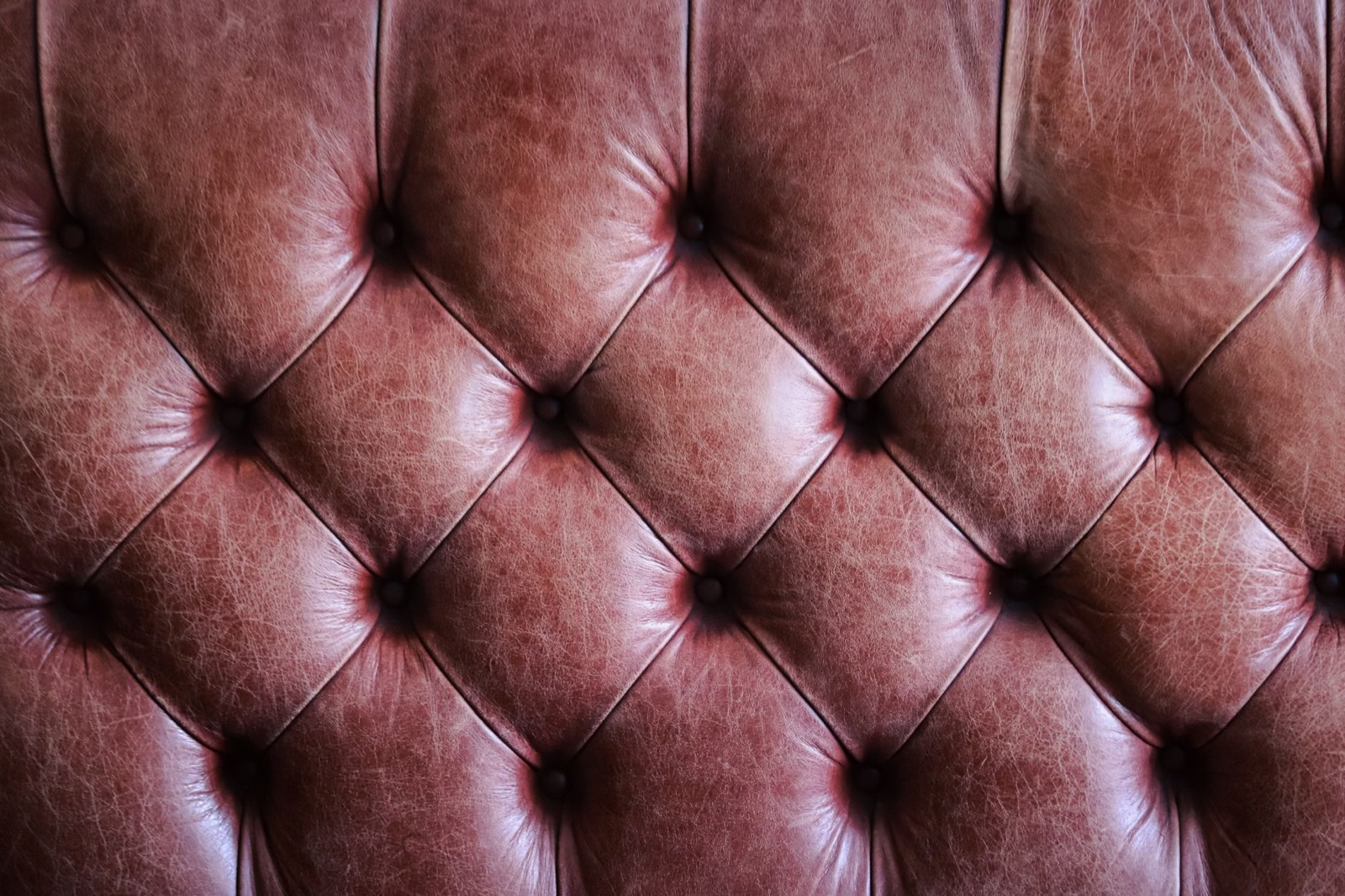 Leather upholstery developing a patina, which conditioning helps maintain