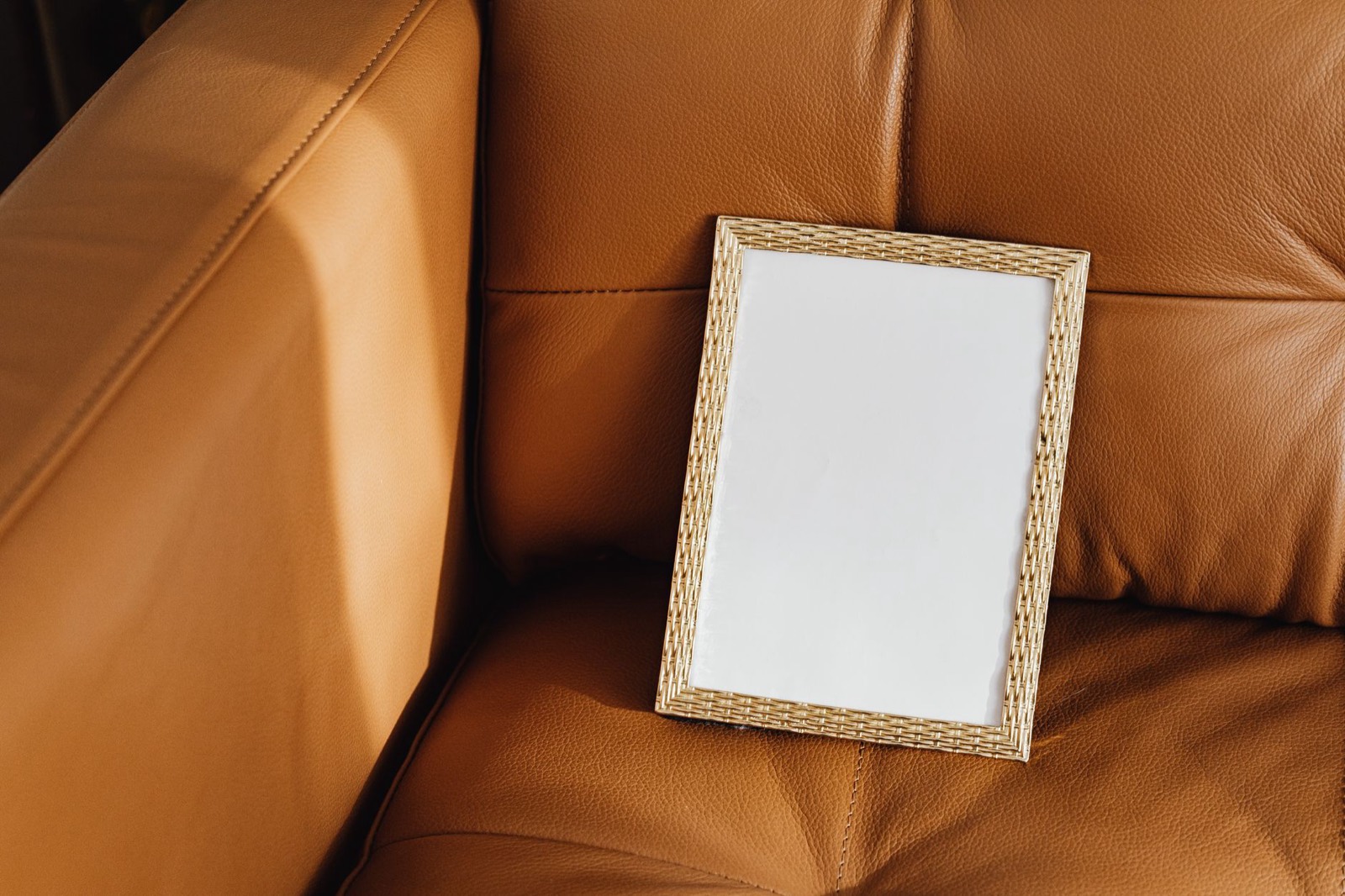Leather upholstery, which releases pet hair with a single wipe