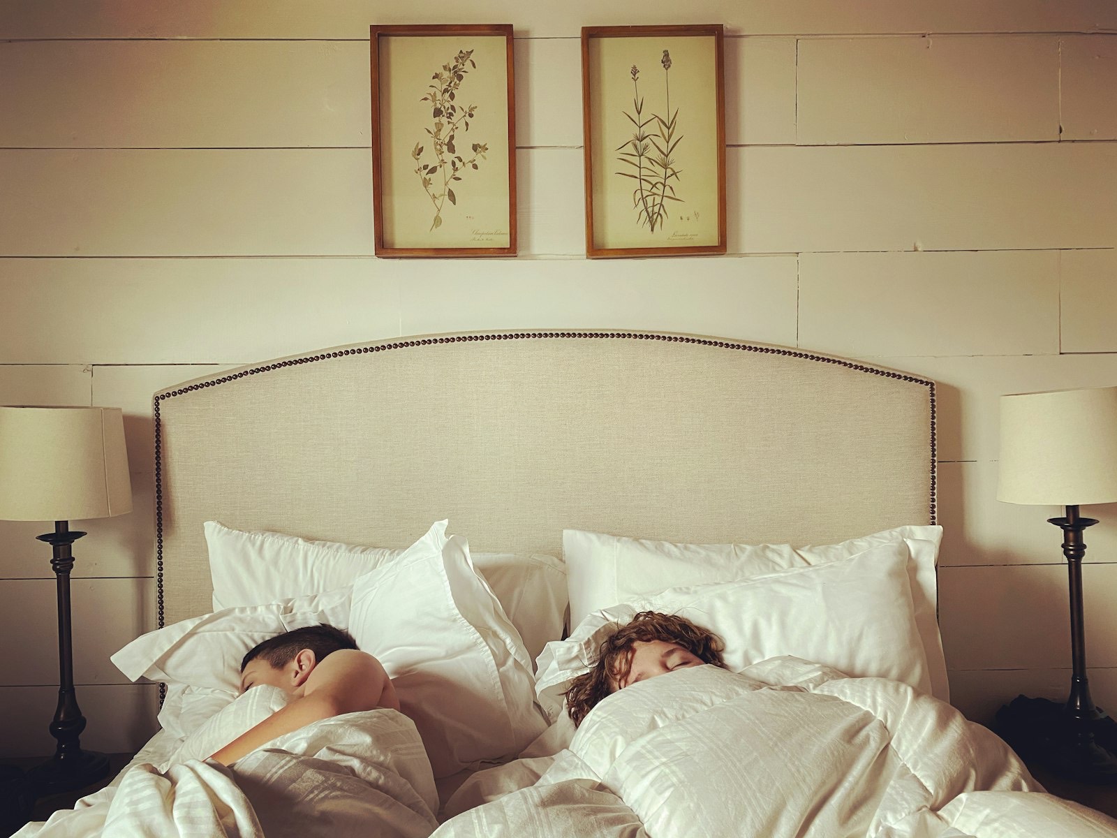 Bed showing the mattress top height that a nightstand should be matched to