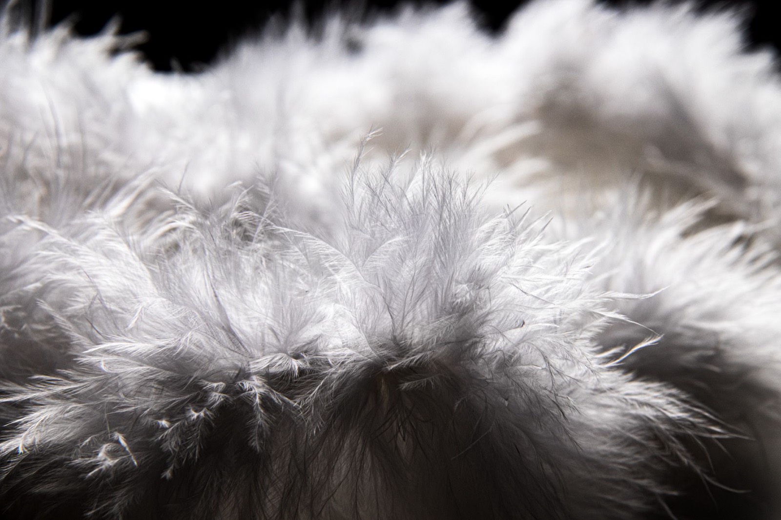 Close-up of pillow fill showing the difference between soft and supportive materials