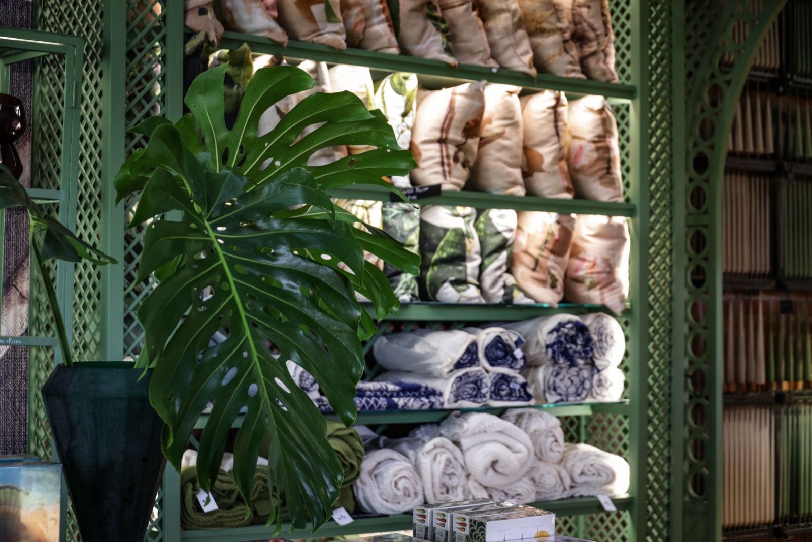 Pillows displayed in a showroom where loft can be tested on a mattress