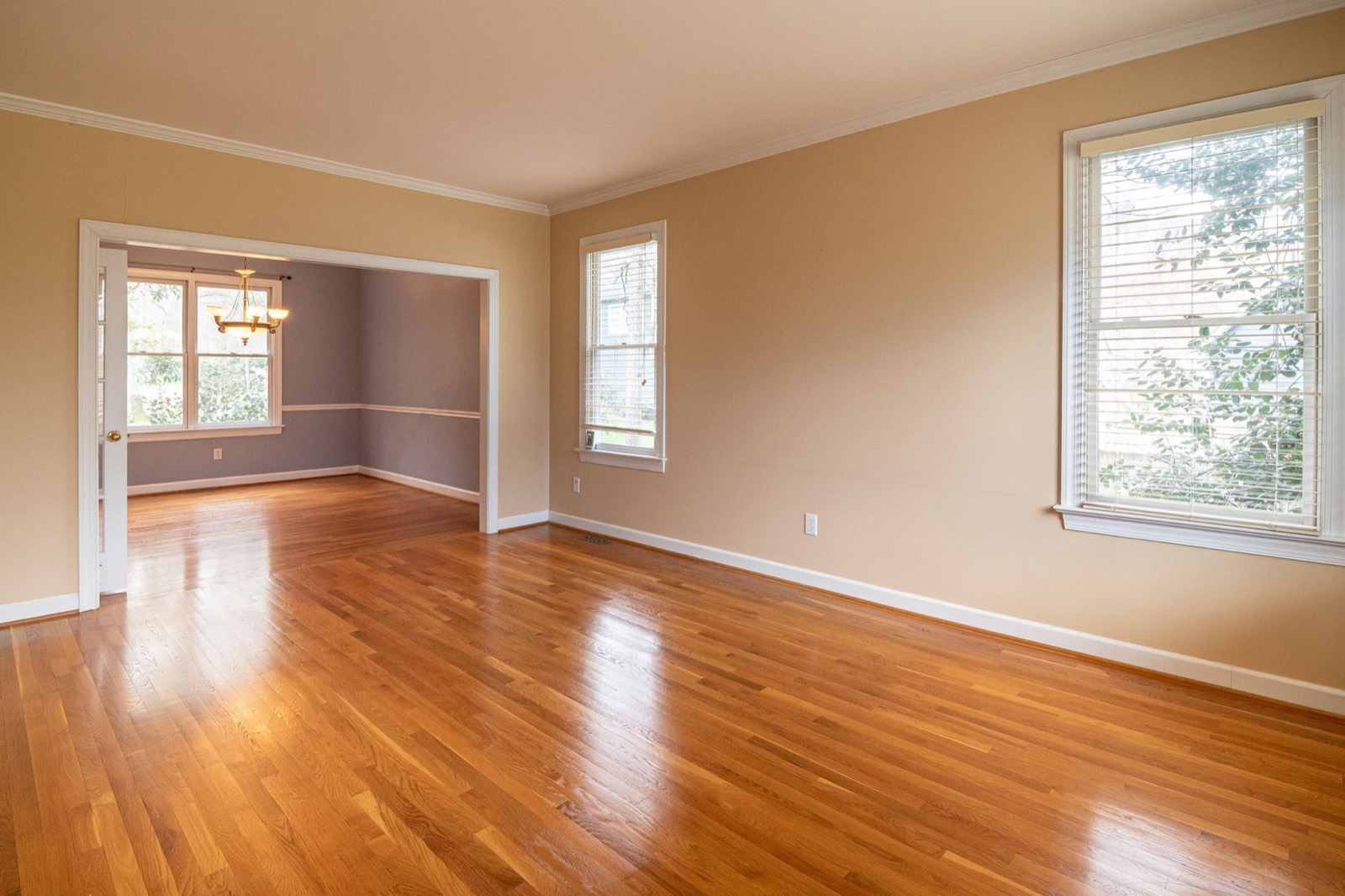 Exposed hardwood border around a rug, the margin that makes the size look deliberate