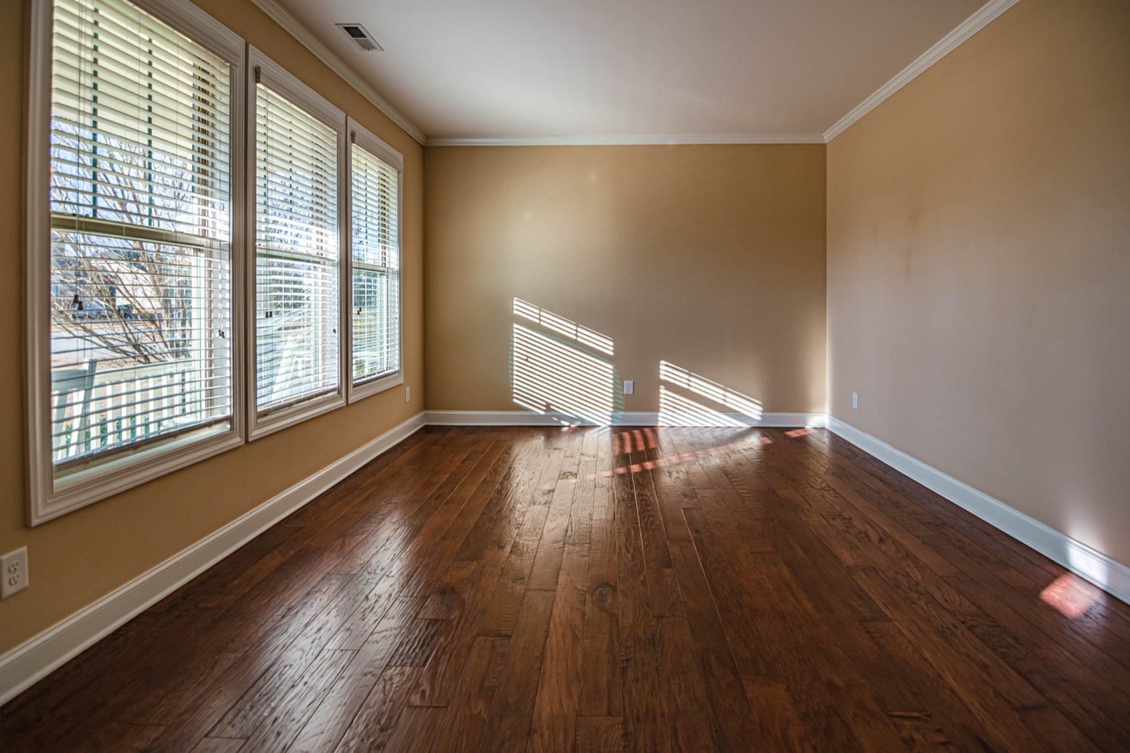 Direct sunlight falling across a room, the cause of uneven fading on furniture and rugs