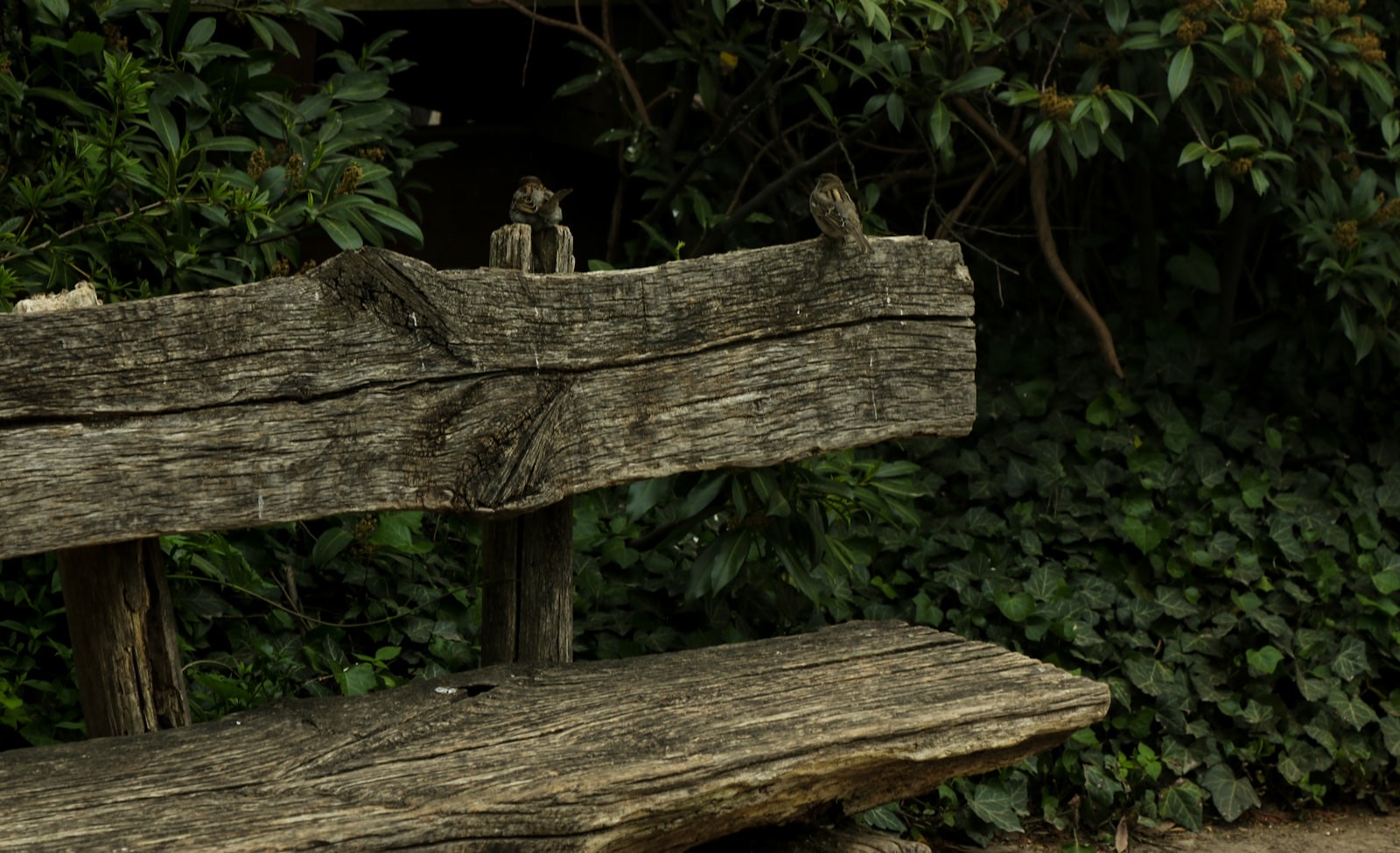 Teak outdoor furniture weathering naturally to a silver-grey patina